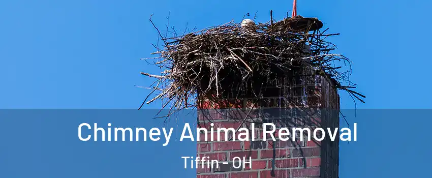  Chimney Animal Removal Tiffin - OH