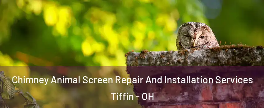  Chimney Animal Screen Repair And Installation Services Tiffin - OH