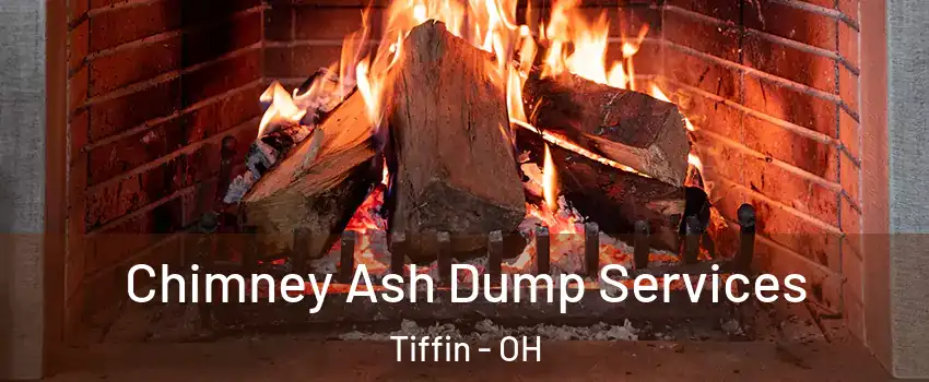  Chimney Ash Dump Services Tiffin - OH