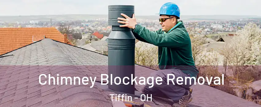  Chimney Blockage Removal Tiffin - OH