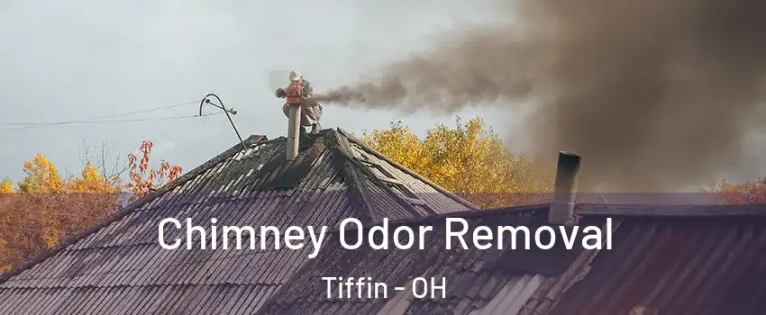  Chimney Odor Removal Tiffin - OH
