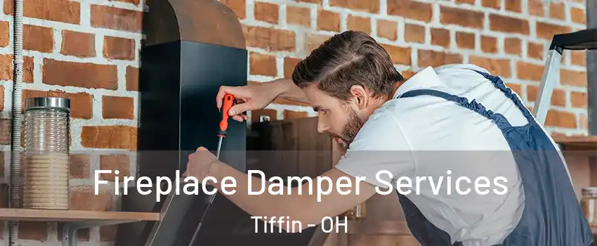  Fireplace Damper Services Tiffin - OH