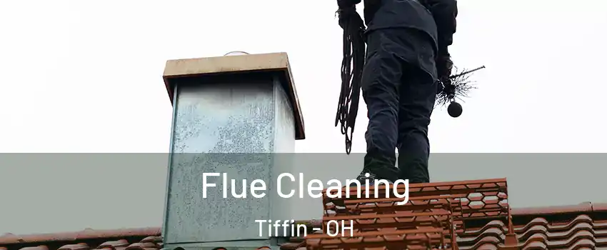  Flue Cleaning Tiffin - OH