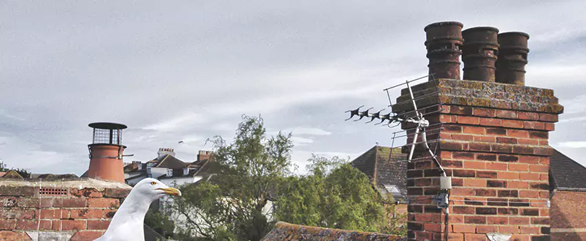 Chimney Cleaning And Restoration in Tiffin, Ohio
