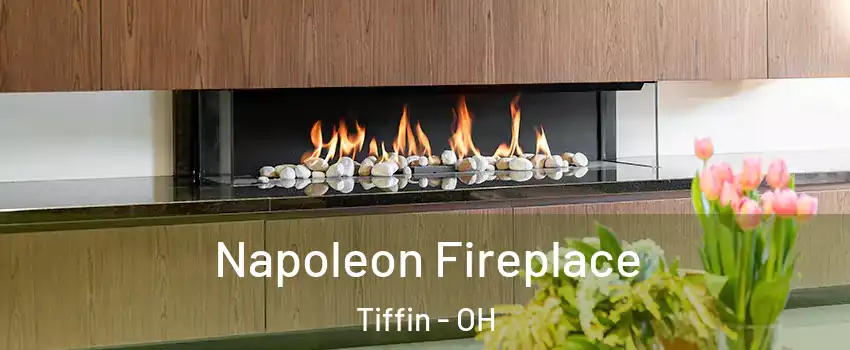  Napoleon Fireplace Tiffin - OH