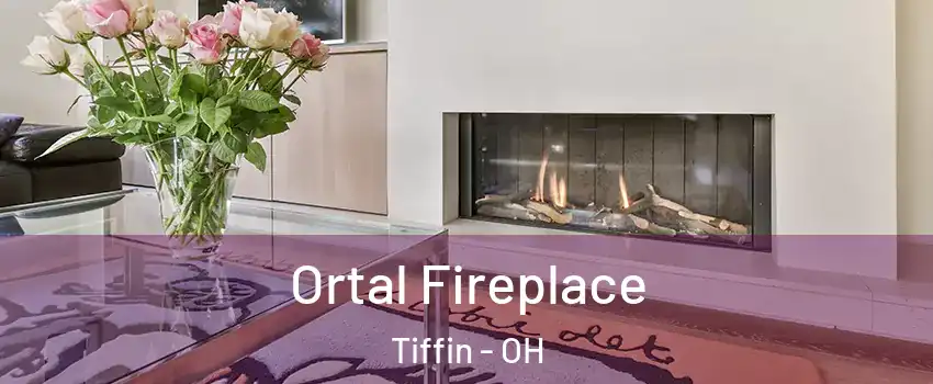  Ortal Fireplace Tiffin - OH